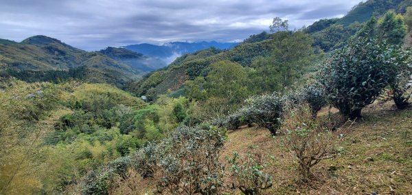 2025-01-19孝子路步道、大巃頂2694259