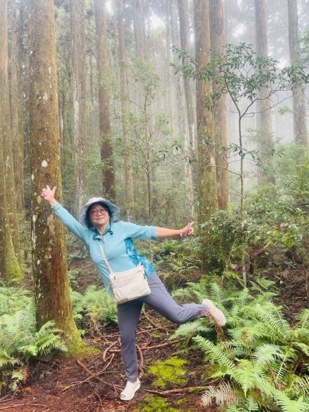 清泉 雪霸農場 野馬瞰山2925891