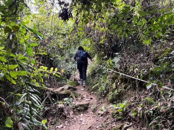 暗影山步道2753101