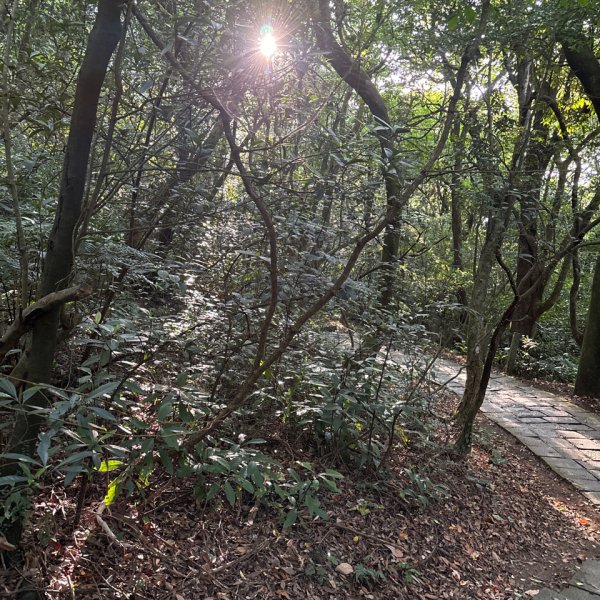 七星山苗圃路線2922626