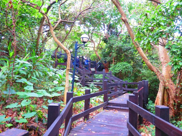 登小觀音山生態登山步道而小臺北863515