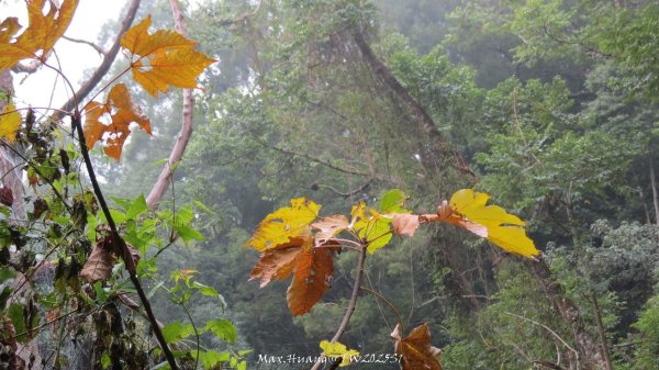 《苗栗》台鐵舊山線｜三義勝興鐵道覓境及挑柴古道O繞202501192693570