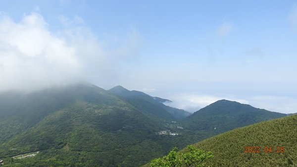 4/28陽明山再見雲海1691820