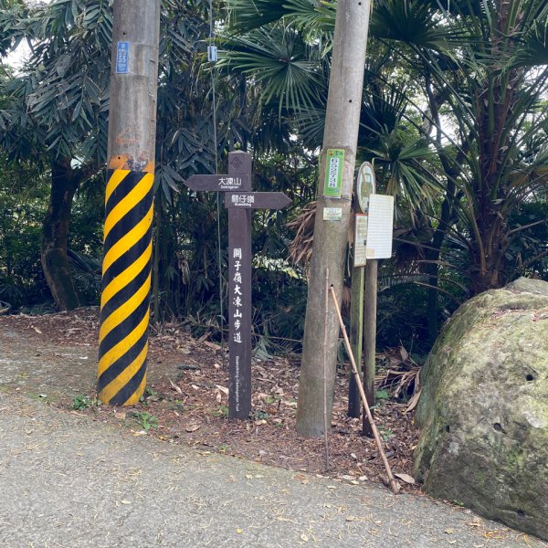 台南大凍山 1241M 小百岳#631270954