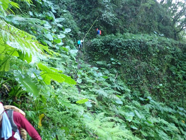 福山往返茶墾山，大台北郊山百岳之馬克完百623945