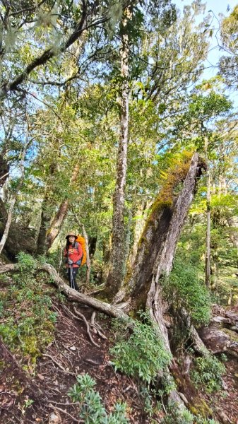 新康五天~戒茂斯進，出瓦拉米2949615