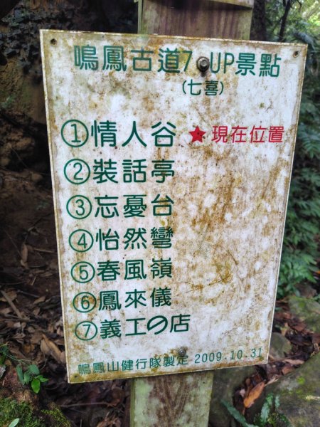 鳳鳴古道 鳳鳴山 南隘勇（南長城）古道 三湖山 八達嶺（龍骨）古道 綠色古道 延平古道2975202