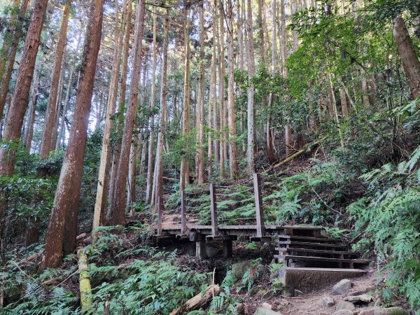 小百岳No.34⛰加里山2424177