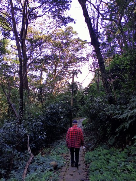 桃園大溪石門水庫楓林步道、齋明寺古道【南山神壽任務】1963930