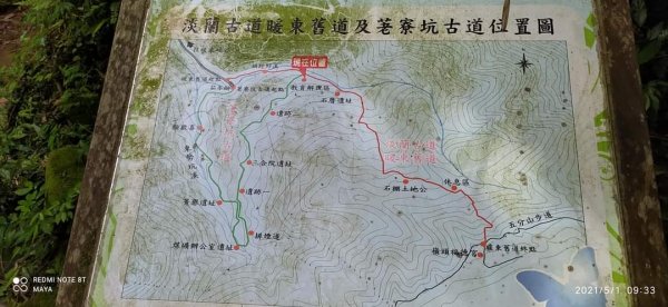 五分山 -小百岳收集起來，馬藍（大青）滿山遍野、桐花陪襯、群蝶紛飛、吸取花蜜1370205