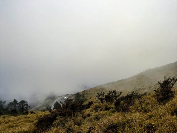 合歡山東峰-主峰-南峰857822