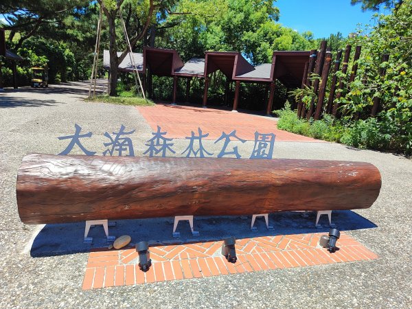 霄裡好風光 運動樂悠遊2827699