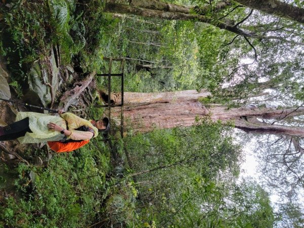 北得拉曼-20204062859828