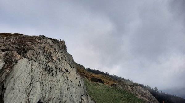 《南投》高山杜鵑盛宴｜哈哈山、石門山北峰202104181353278