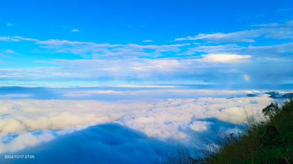 阿里山 #隙頂二延平 #頂石棹 #觀音圈 #雲海 #琉璃光 #雲瀑 #霧虹 11/172649755