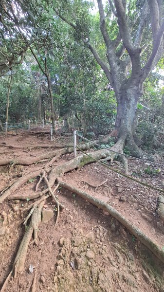 台北大縱走第一段1249089