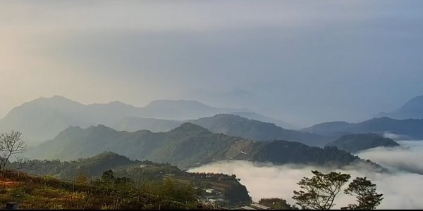 阿里山雲瀑&雲海/富士山直播即時視訊832070