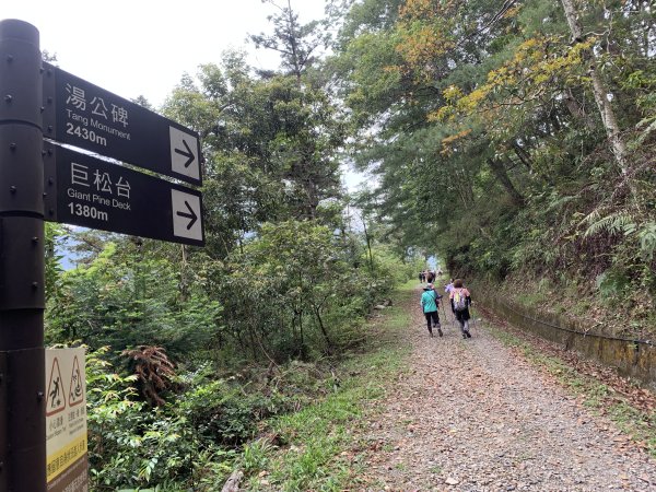 20260509南投小出山3055105