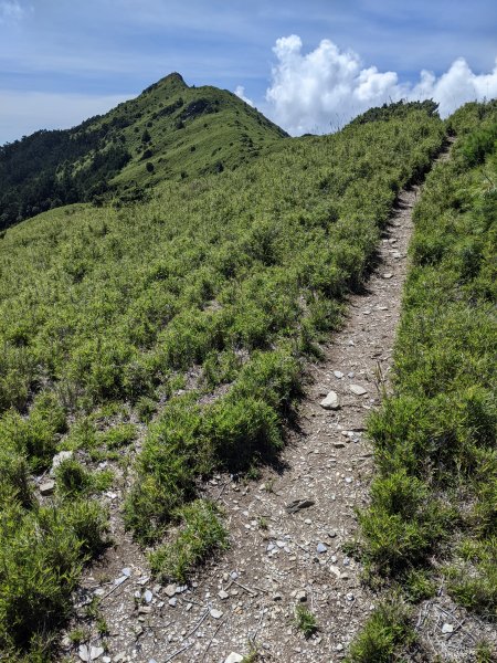 後疫情首登之北二段又沒走完1443529