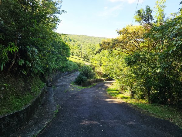 枋山坑古道(淡蘭中路)-新北市坪林區2882692