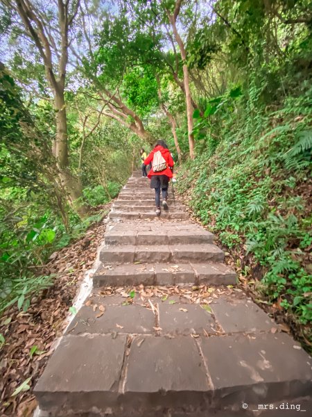＜小百岳＞新北市．觀音山(硬漢嶺)915016