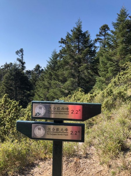 合歡山五座百岳賞杜鵑花587128