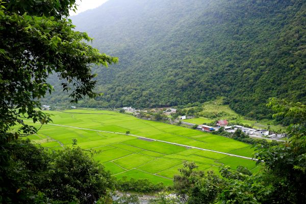 八通關越道：鹿鳴吊橋169797