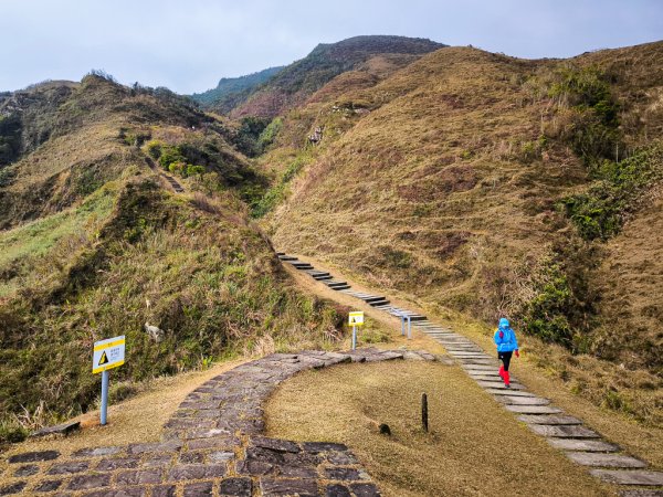 2025-01-19 大里天公廟~埡口2695386