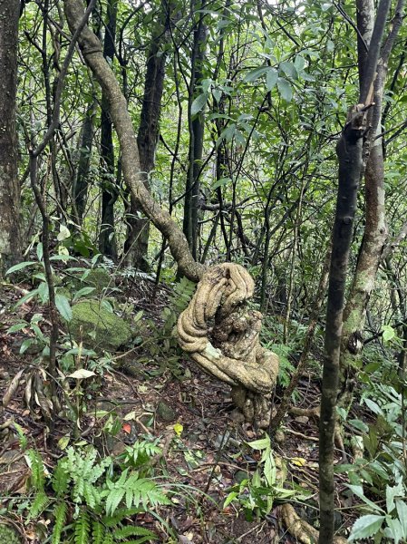 武山坑炭窯2990737