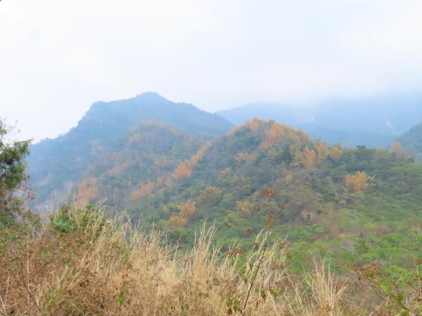 西阿里關山、東阿里關山