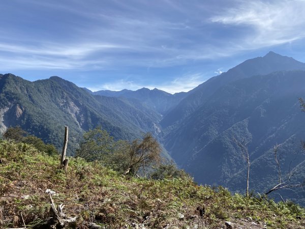 2020-11-28.29 東埔上郡大山下開高山1559154