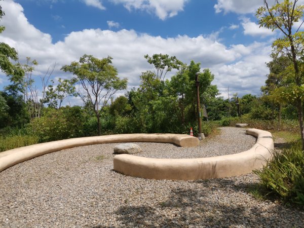 暑之大湳森林公園2859586