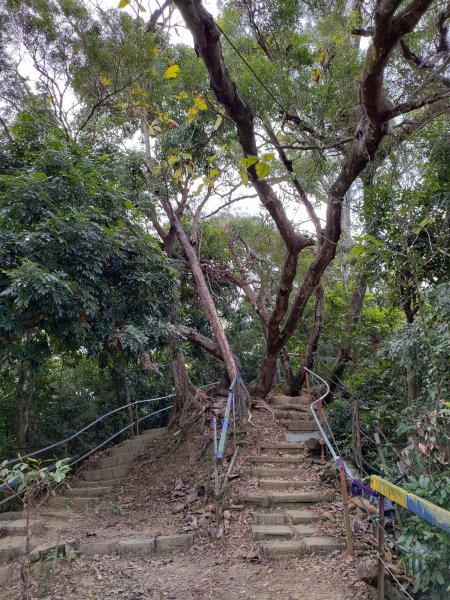 台中南觀音山步道861477