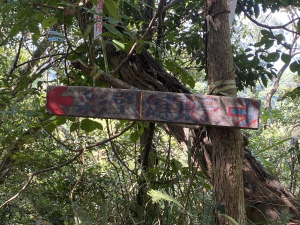 2025微笑山線大縱走尋寶集章任務-Ep.03【鳶山山系】鳶山彩壁段2893681