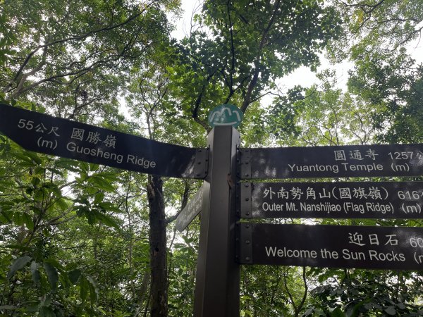 [微笑山線_第五段] 2025_0705 天上山系_國旗嶺2830072