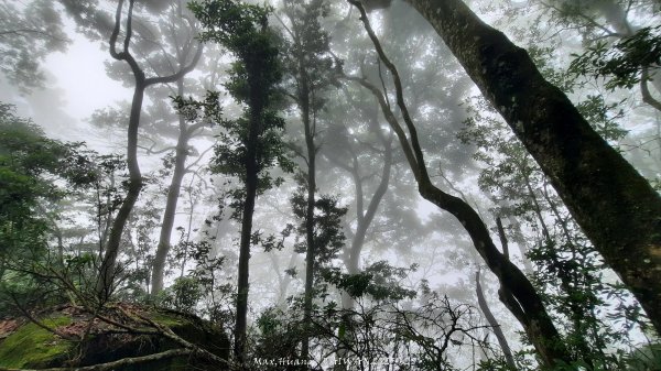 《雲林》望好望角｜石壁山嘉南雲峰步道(中側登山口）202506072805405