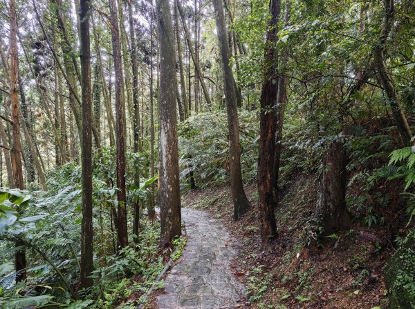 [皮皮獅動物派對-04/10] 2026_0823 騎龍古道3121549