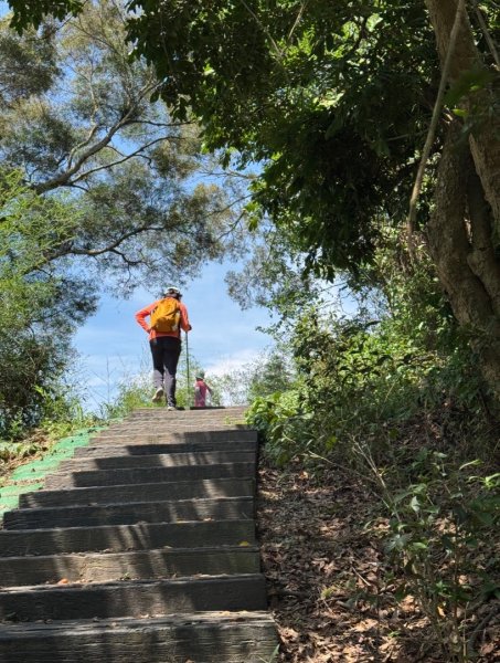 虎山岩區4條大嶺巷步道十二分埔山O繞逍遙輕鬆行3064053