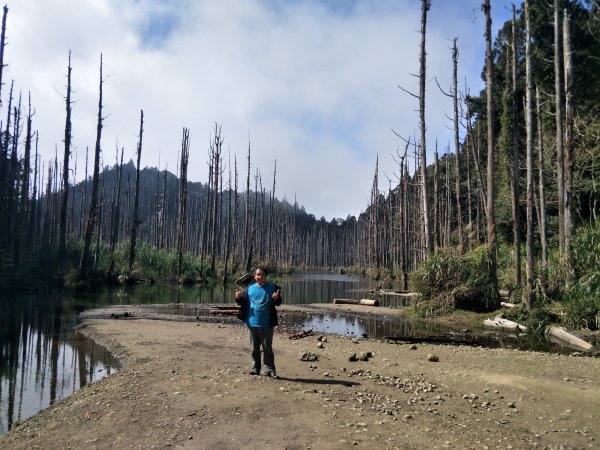 水漾森林、鹿屈山封面