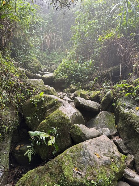 陡上陡下的溪頭鳳凰山1872910