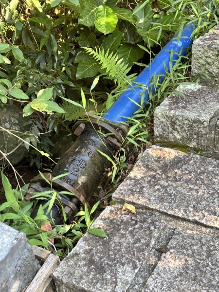 天母古道 + 紗帽山2913890