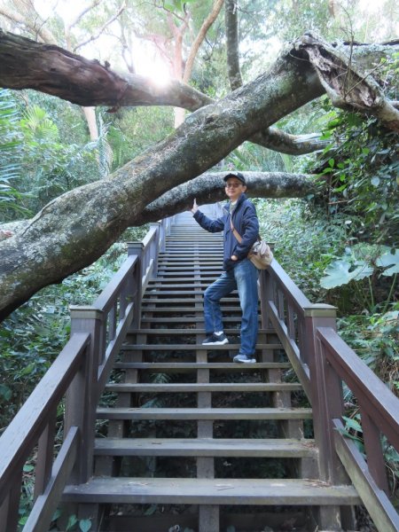 泰安登山步道‧隘勇古道‧巡圳道O形輕鬆走2007519