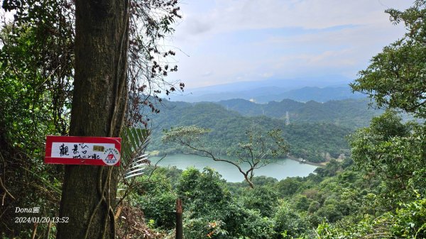 東勢大崙、東勢坑山、觀音湖山O走2986254