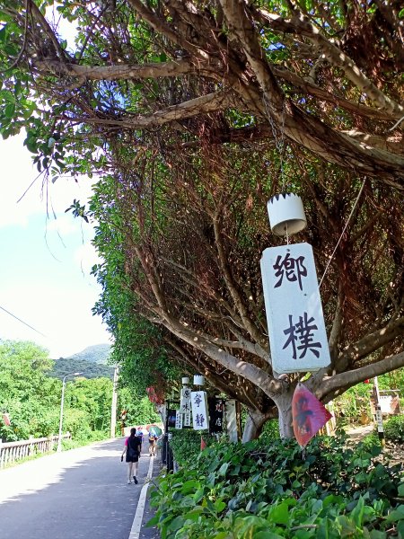 【冷門步道尋寶任務】鼎筆橋步道《山青水麗的北投猴洞、半嶺、鼎筆橋步道、十八挖圳道》1450706