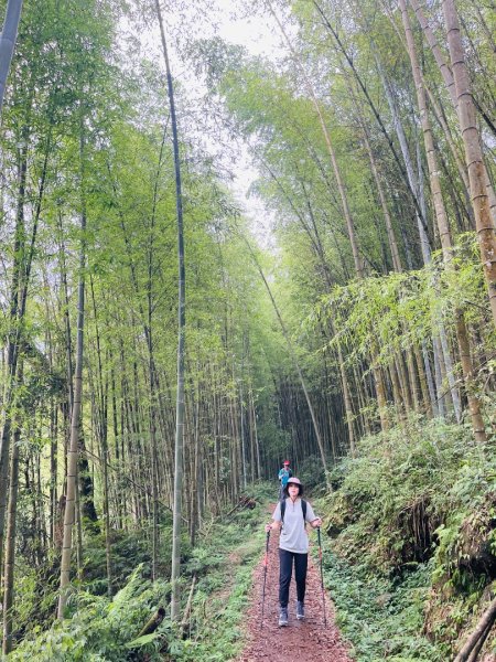 1150926霹靂山-大凍山O繞3129924