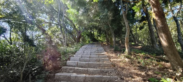 2025/11/22_大分林山步道2944204