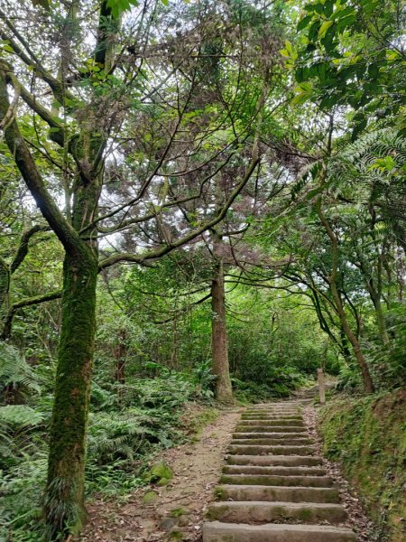 姜子寮山-小百岳#11-基隆市七堵區2248502