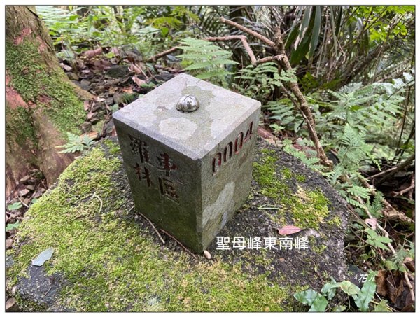 聖母峰、三角崙山 (抹茶山) 連走2802190