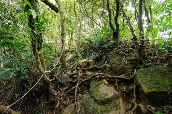 臺北 二格山、南邦寮山、阿柔洋山2570416