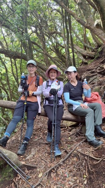 加里山P縱202506222818647